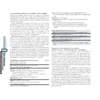 Hammerhead-Class Cruiser Inexpugnable-Class Tactical
