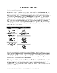 Introduction to Bacteria