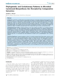 Phylogenetic and Evolutionary Patterns in Microbial Carotenoid Biosynthesis Are Revealed by Comparative Genomics
