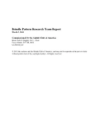 BPRT Report 3-5-11