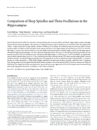 Comparison of Sleep Spindles and Theta Oscillations in the Hippocampus