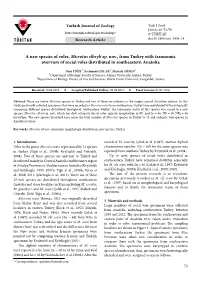 A New Species of Voles, Microtus Elbeyli Sp. Nov., from Turkey with Taxonomic Overview of Social Voles Distributed in Southeastern Anatolia