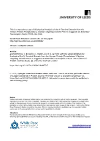 Biophysical Analysis of the N-Terminal Domain from The