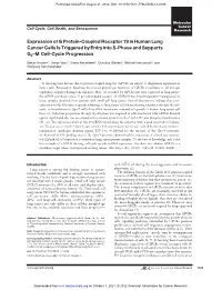 Expression of G Protein-Coupled Receptor 19 in Human Lung Cancer Cells Is Triggered by Entry Into S-Phase and Supports