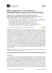 GM2 Gangliosidoses: Clinical Features, Pathophysiological Aspects, and Current Therapies