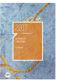 A Year at the Cnrs