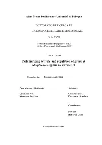 Polymerizing Activity and Regulation of Group B Streptococcus Pilus 2A Sortase C1