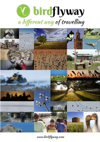 A Different Way of Travelling Birdflyway