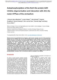 Autophosphorylation of the Kaic-Like Protein Arlh Inhibits Oligomerisation and Interaction with Arli, the Motor Atpase of the Archaellum