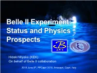 Belle II Experiment: Status and Physics Prospects