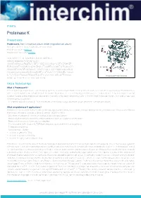 Proteinase K Dna Extraction Protocol