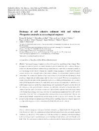Drainage of Soft Cohesive Sediment with and Without Phragmites Australis As an Ecological Engineer Rémon M