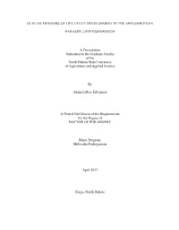 GLYCAN TRIGGERS of LIFE CYCLE DEVELOPMENT in the APICOMPLEXAN PARASITE CRYPTOSPORIDIUM a Dissertation Submitted to the Graduate