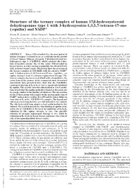 Structure of the Ternary Complex of Human 17Я-Hydroxysteroid
