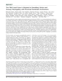 The TRK-Fused Gene Is Mutated in Hereditary Motor and Sensory Neuropathy with Proximal Dominant Involvement