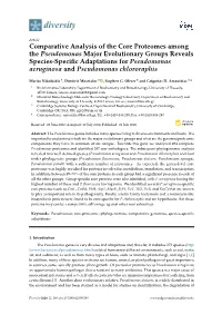 Comparative Analysis of the Core Proteomes Among The