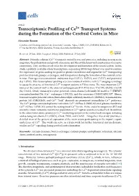 Transcriptomic Profiling of Ca Transport Systems During