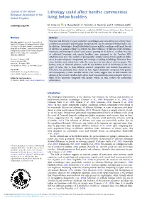 Lithology Could Affect Benthic Communities Living Below Boulders