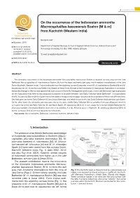 On the Occurrence of the Indonesian Ammonite Macrocephalites