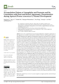 Accumulation Pattern of Amygdalin and Prunasin and Its Correlation