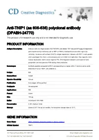 Anti-TNIP1 (Aa 606-636) Polyclonal Antibody (DPABH-24770) This Product Is for Research Use Only and Is Not Intended for Diagnostic Use