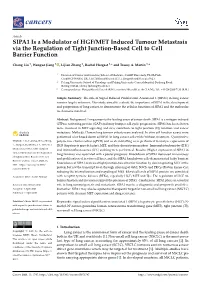 SIPA1 Is a Modulator of HGF/MET Induced Tumour Metastasis Via the Regulation of Tight Junction-Based Cell to Cell Barrier Function