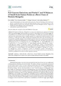 Soil Gaseous Emissions and Partial C and N Balances of Small-Scale Farmer Fields in a River Oasis of Western Mongolia