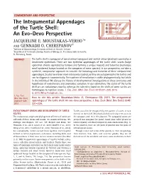 The Integumental Appendages of the Turtle Shell: an Evo-Devo Perspective JACQUELINE E