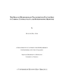 THE ROLE of HOMEODOMAIN TRANSCRIPTION FACTOR IRX5 in CARDIAC CONTRACTILITY and HYPERTROPHIC RESPONSE by © COPYRIGHT by KYOUNG H