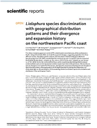 Liolophura Species Discrimination with Geographical Distribution Patterns and Their Divergence and Expansion History on the Nort
