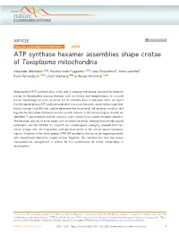 ATP Synthase Hexamer Assemblies Shape Cristae of Toxoplasma Mitochondria