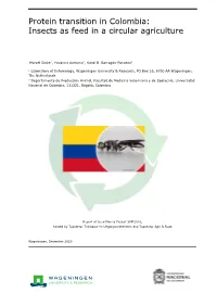 Protein Transition in Colombia: Insects As Feed in a Circular Agriculture