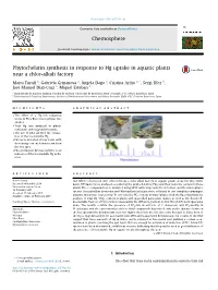 Phytochelatin Synthesis in Response to Hg Uptake in Aquatic Plants Near A