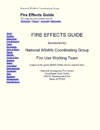 Fire Effects Guide This Page Was Last Modified 06/21/01 |Disclaimer| | Privacy| | Copyright| |Webmaster|
