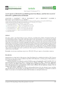 A New Species of Stemonitis Pseudoflavogenita from Russia, and the First Record of Stemonitis Capillitionodosa in Eurasia