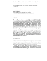 Grooming Structure and Function Crustacea M Some Terrestrial