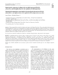 Opportunistic Suspension Feeding in the Intertidal Gastropod Olivella Columellaris and Its Implications for the Regulation of Tidal Migrations