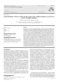 Sexual Dimorphism, Allometry, and Interspecific Variation in the Cranial