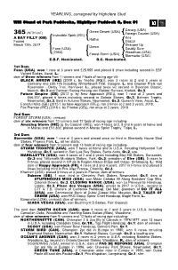 YEARLING, Consigned by Highclere Stud