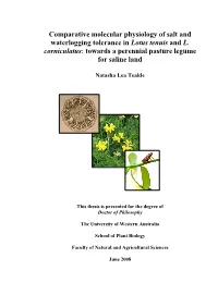 Physiological and Molecular Basis of Salt and Waterlogging