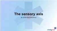 The Sensory Axis