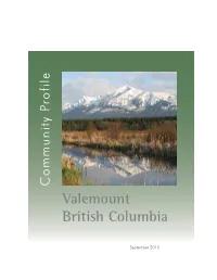 Valemount British Columbia