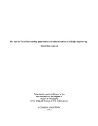 The Role of T and Tbx6 During Gastrulation and Determination of Left/Right Asymmetry Daniel Concepcion Submitted in Partial Fulf