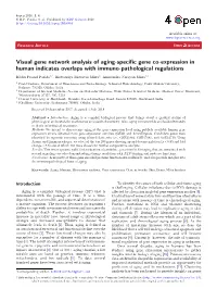 Visual Gene Network Analysis of Aging-Specific Gene Co-Expression