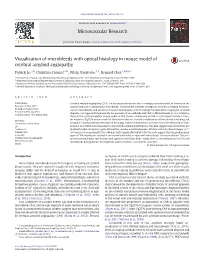 Visualization of Microbleeds with Optical Histology in Mouse Model of Cerebral Amyloid Angiopathy