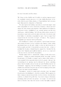 CHAPTER 4- the ART of BUILDING Section 1 -Attitudes and Procedures