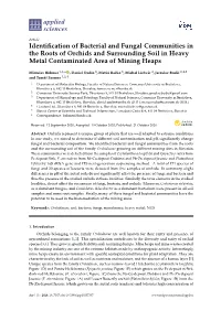 Identification of Bacterial and Fungal Communities in the Roots Of
