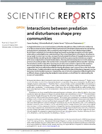 Interactions Between Predation and Disturbances Shape Prey Communities