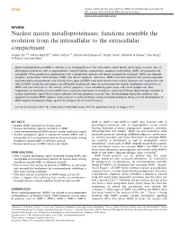 Nuclear Matrix Metalloproteinases: Functions Resemble the Evolution from the Intracellular to the Extracellular Compartment