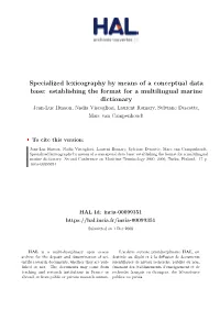 Specialized Lexicography by Means of a Conceptual Data Base
